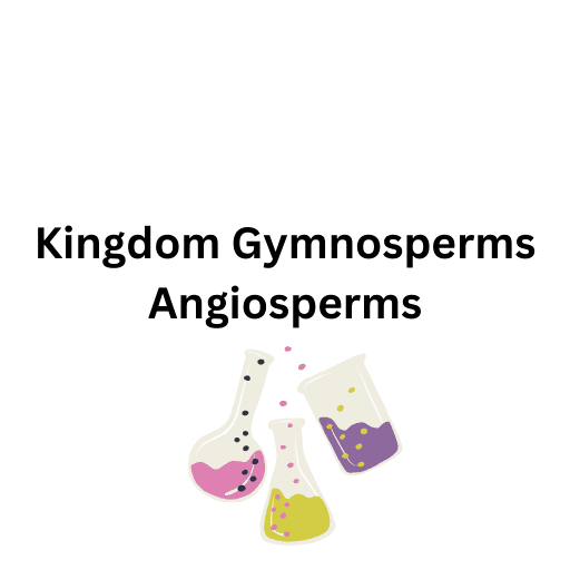 Kingdom Gymnosperms Angiosperms